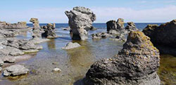 verksamheter/Gotlandica.html